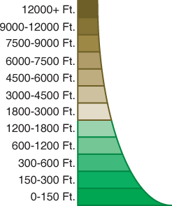 Elevation Chart